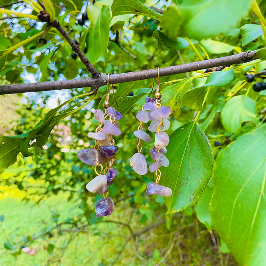 Amethyst Earrings